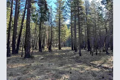 6049 Genesee Road, Genesee, CA 95983 - Photo 7