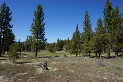 502 Great Spirit, Portola, CA 96122 - Photo 11