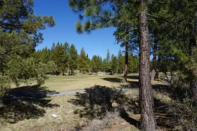 502 Great Spirit, Portola, CA 96122 - Photo 3