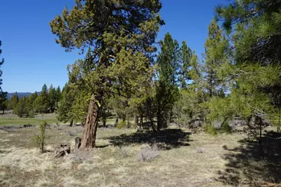502 Great Spirit, Portola, CA 96122 - Photo 5