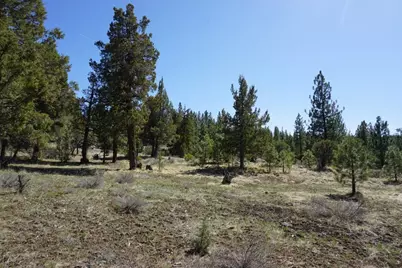502 Great Spirit, Portola, CA 96122 - Photo 7