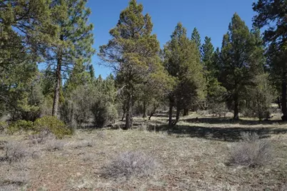 502 Great Spirit, Portola, CA 96122 - Photo 9