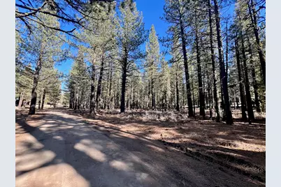 71849 Carrie Court Trail, Delleker, CA 96122 - Photo 3