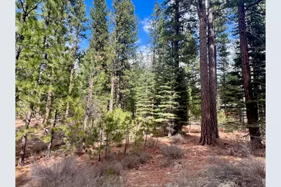 856 Prospector Drive, Clio, CA 96106 - Photo 7