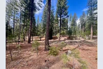 856 Prospector Drive, Clio, CA 96106 - Photo 5