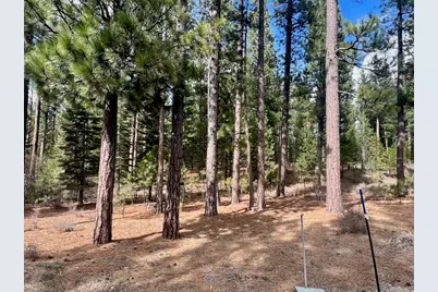 856 Prospector Drive, Clio, CA 96106 - Photo 9