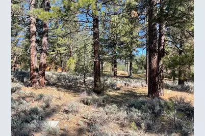 16 Big Grizzly, Portola, CA 96122 - Photo 3