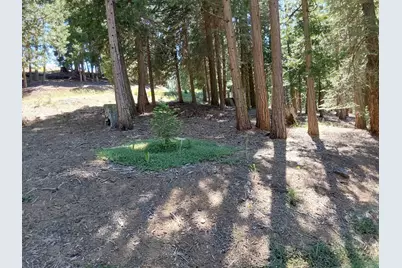 5028 Harvest Moon #18, Portola, CA 96122 - Photo 9