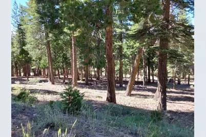 5028 Harvest Moon #18, Portola, CA 96122 - Photo 35