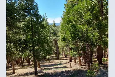 5028 Harvest Moon #18, Portola, CA 96122 - Photo 17
