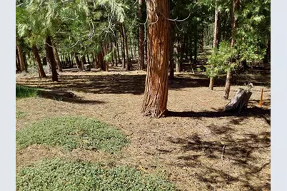 5028 Harvest Moon #18, Portola, CA 96122 - Photo 11