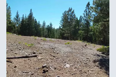 5028 Harvest Moon #18, Portola, CA 96122 - Photo 21