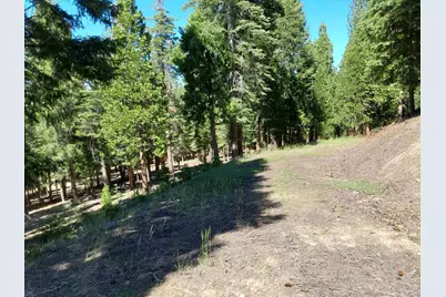 5028 Harvest Moon #18, Portola, CA 96122 - Photo 15
