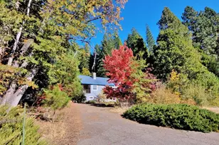 60139 Mt Tomba Rd, Graeagle, CA 96103 - Photo 3
