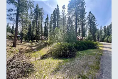 325 Eureka Springs Drive, Blairsden, CA 96103 - Photo 3