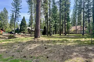 325 Eureka Springs Dr, Blairsden, CA 96103 - Photo 1