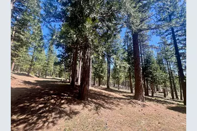 69867 Woodside Drive, Blairsden, CA 96103 - Photo 9