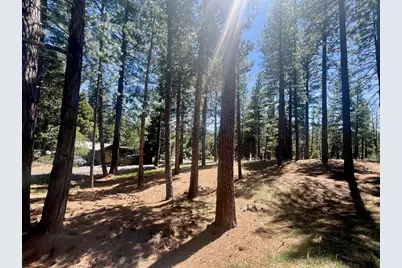 69867 Woodside Drive, Blairsden, CA 96103 - Photo 19