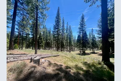 69867 Woodside Drive, Blairsden, CA 96103 - Photo 17