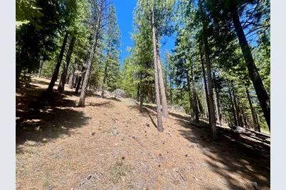 69867 Woodside Drive, Blairsden, CA 96103 - Photo 29