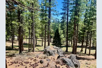 69867 Woodside Drive, Blairsden, CA 96103 - Photo 25
