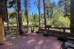 302 Mountain View Rd, Calpine, CA 96124 - Photo 23