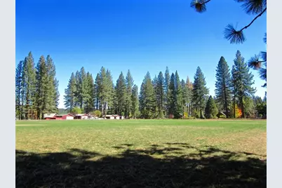 684 Startop, Portola, CA 96122 - Photo 47