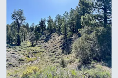 492 Clouds Rest, Portola, CA 96122 - Photo 3