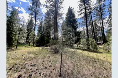 375 Eureka Springs Drive, Blairsden, CA 96103 - Photo 9