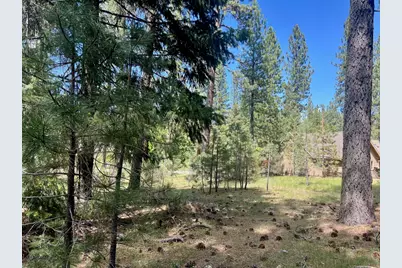 375 Eureka Springs Drive, Blairsden, CA 96103 - Photo 15