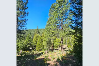 403 Big Grizzly, Portola, CA 96122 - Photo 3