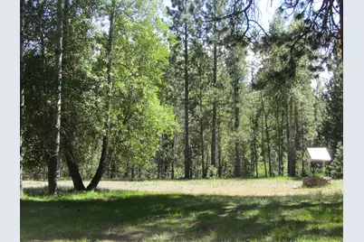 443 Feather River Drive, Chester, CA 96020 - Photo 7