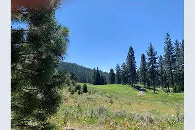 300 Grizzly Ranch Road, Portola, CA 96122 - Photo 3
