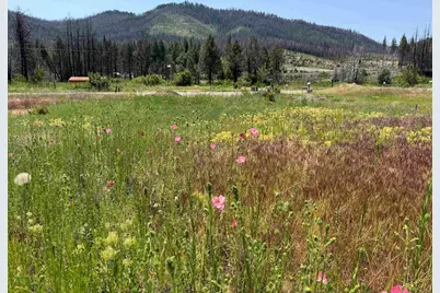 174 Hot Springs Road, Greenville, CA 95947 - Photo 1