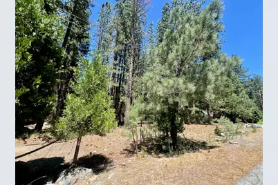 38 Tolowa Trail, Graeagle, CA 96103 - Photo 9