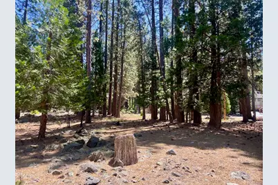 38 Tolowa Trail, Graeagle, CA 96103 - Photo 17