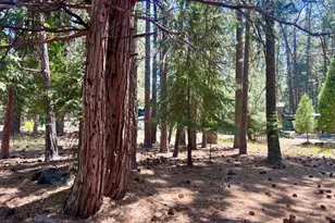 38 Tolowa Trail, Graeagle, CA 96103 - Photo 1