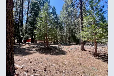 38 Tolowa Trail, Graeagle, CA 96103 - Photo 3