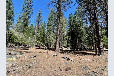 38 Tolowa Trail, Graeagle, CA 96103 - Photo 15