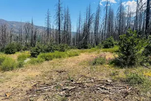 172 Standart Mine Rd, Greenville, CA 95947 - Photo 1