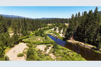 1116 Little Bear Road, Blairsden, CA 96103 - Photo 11