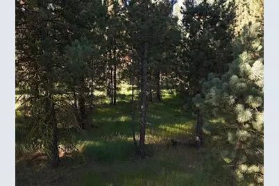 1116 Little Bear Road, Blairsden, CA 96103 - Photo 23