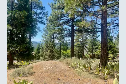 1924 Grizzly Ranch Road, Portola, CA 96122 - Photo 21