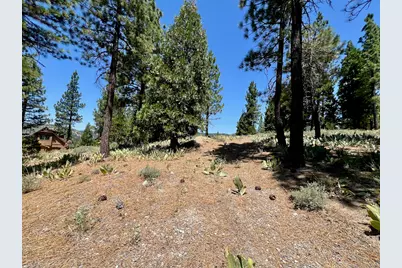 1924 Grizzly Ranch Road, Portola, CA 96122 - Photo 3