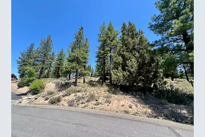 1924 Grizzly Ranch Road, Portola, CA 96122 - Photo 5