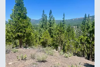 1924 Grizzly Ranch Road, Portola, CA 96122 - Photo 17