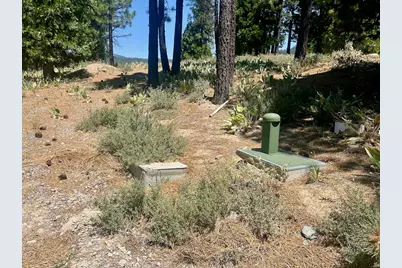 1924 Grizzly Ranch Road, Portola, CA 96122 - Photo 11