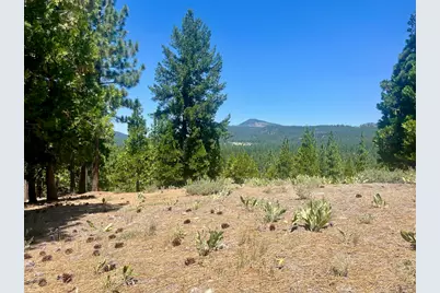 1924 Grizzly Ranch Road, Portola, CA 96122 - Photo 13