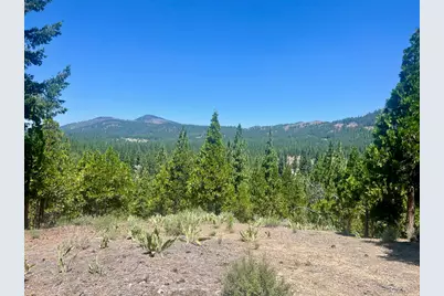 1924 Grizzly Ranch Road, Portola, CA 96122 - Photo 15