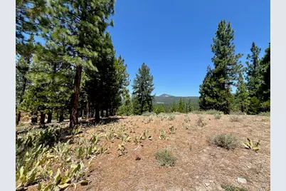 1924 Grizzly Ranch Road, Portola, CA 96122 - Photo 23